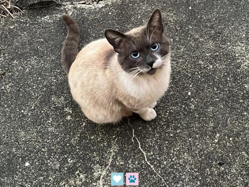 Hugo